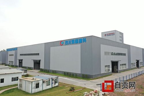 四川強固建科新型建材產業基地項目投入試生產，建筑建材行業迎來新動能