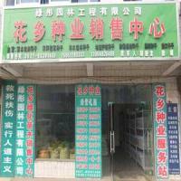 做好苗木批發(fā)，源頭與供應(yīng)鏈管理是關(guān)鍵
