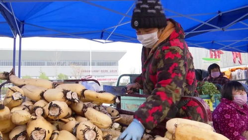 滯銷農(nóng)副產(chǎn)品直銷進(jìn)城 新鮮便宜還放心，市民農(nóng)戶雙贏新探索