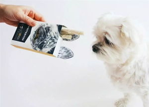 寵物食品包裝設(shè)計欣賞 藝術(shù)與功能的完美融合