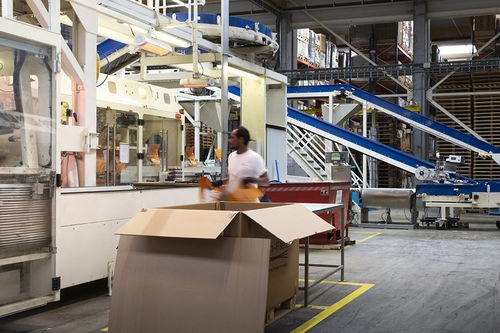 森西 源自自然，守護健康——一段關(guān)于寵物食品的溫情故事