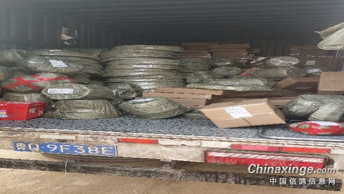 福來翔鴿具寵物用品生產(chǎn)廠 匠心獨具，專注寵物食品新篇章