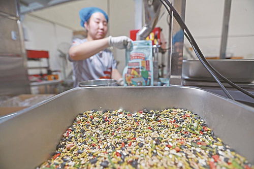 寵物食品行業(yè)迎熱潮 生產(chǎn)線日夜兼程背后的市場驅(qū)動力